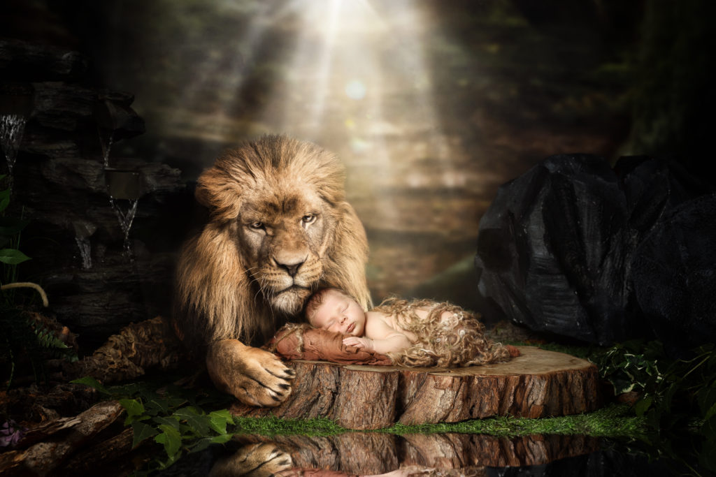 Leo protected by a Lion Newborn Joe Laws Photography